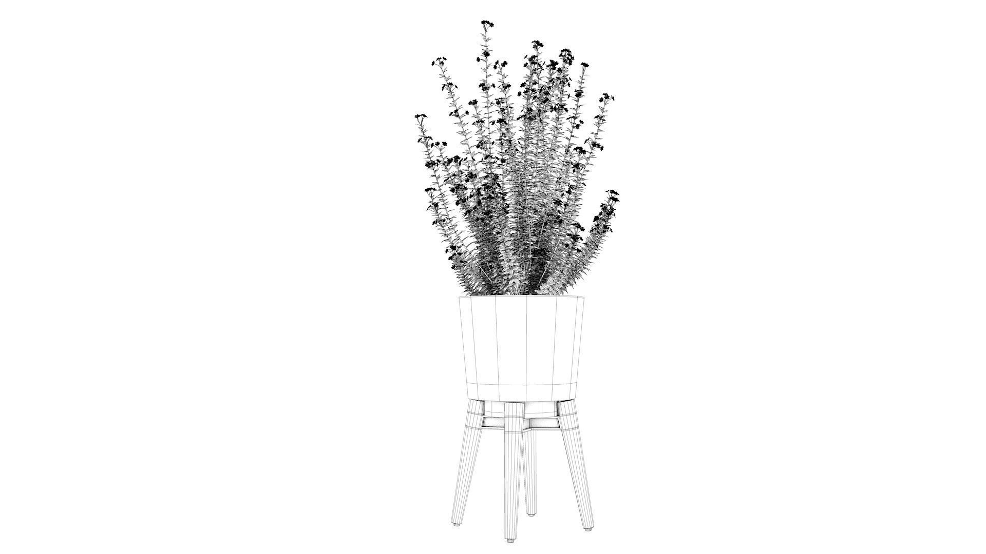 Pot Plant  3D model_10