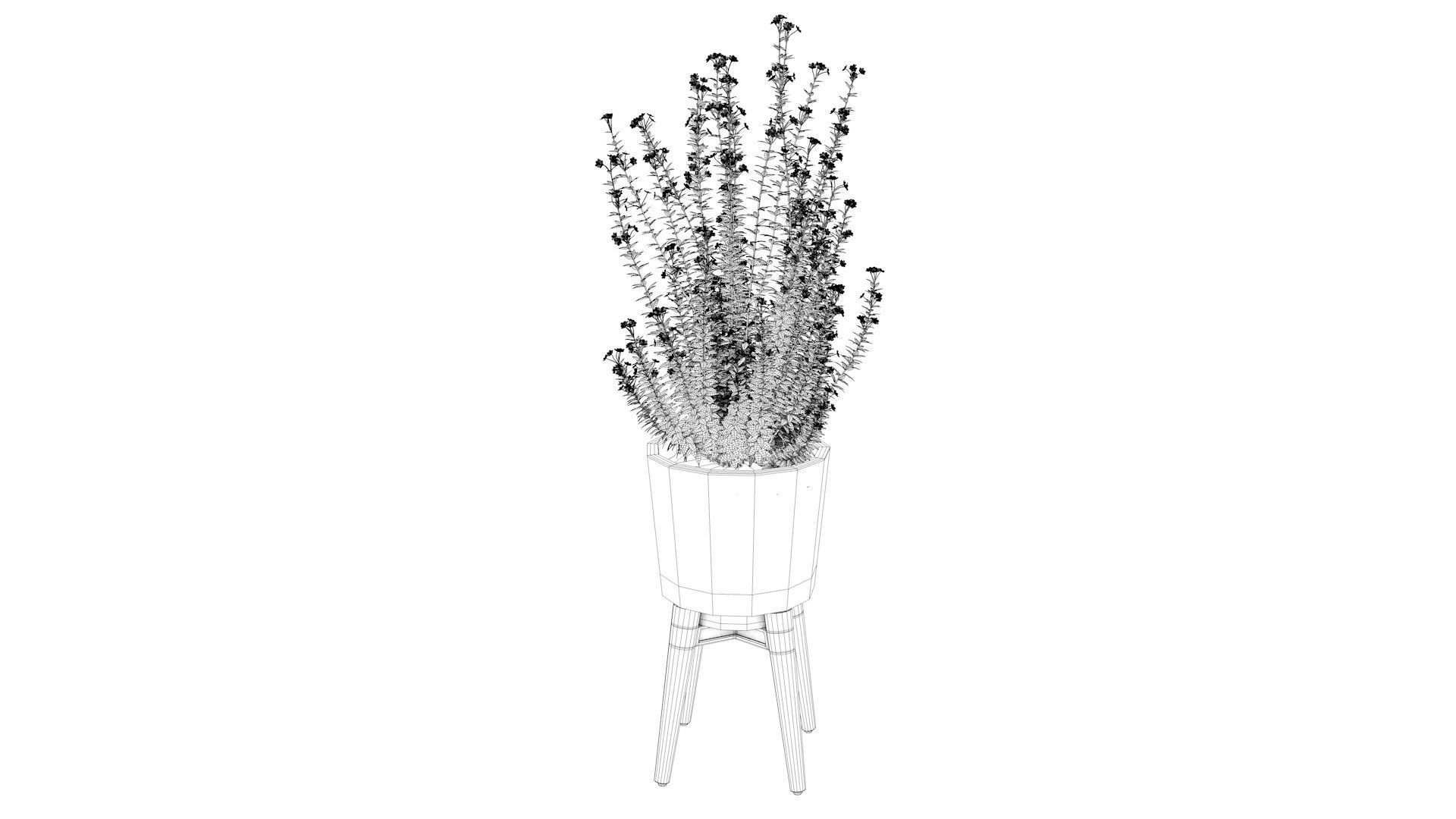 Pot Plant  3D model_8