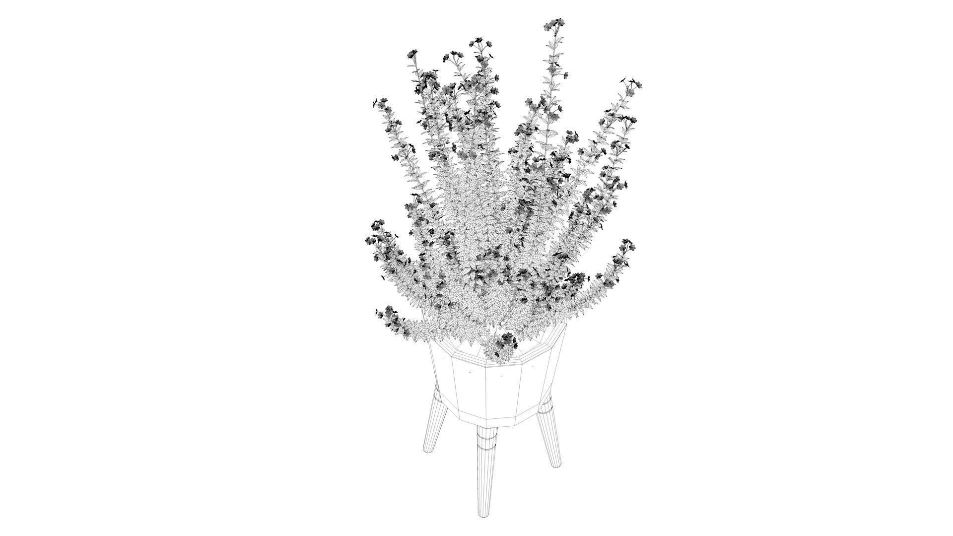Pot Plant  3D model_9
