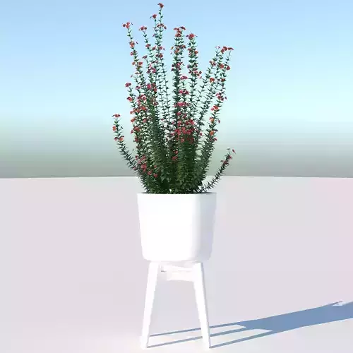 Pot Plant  3D model