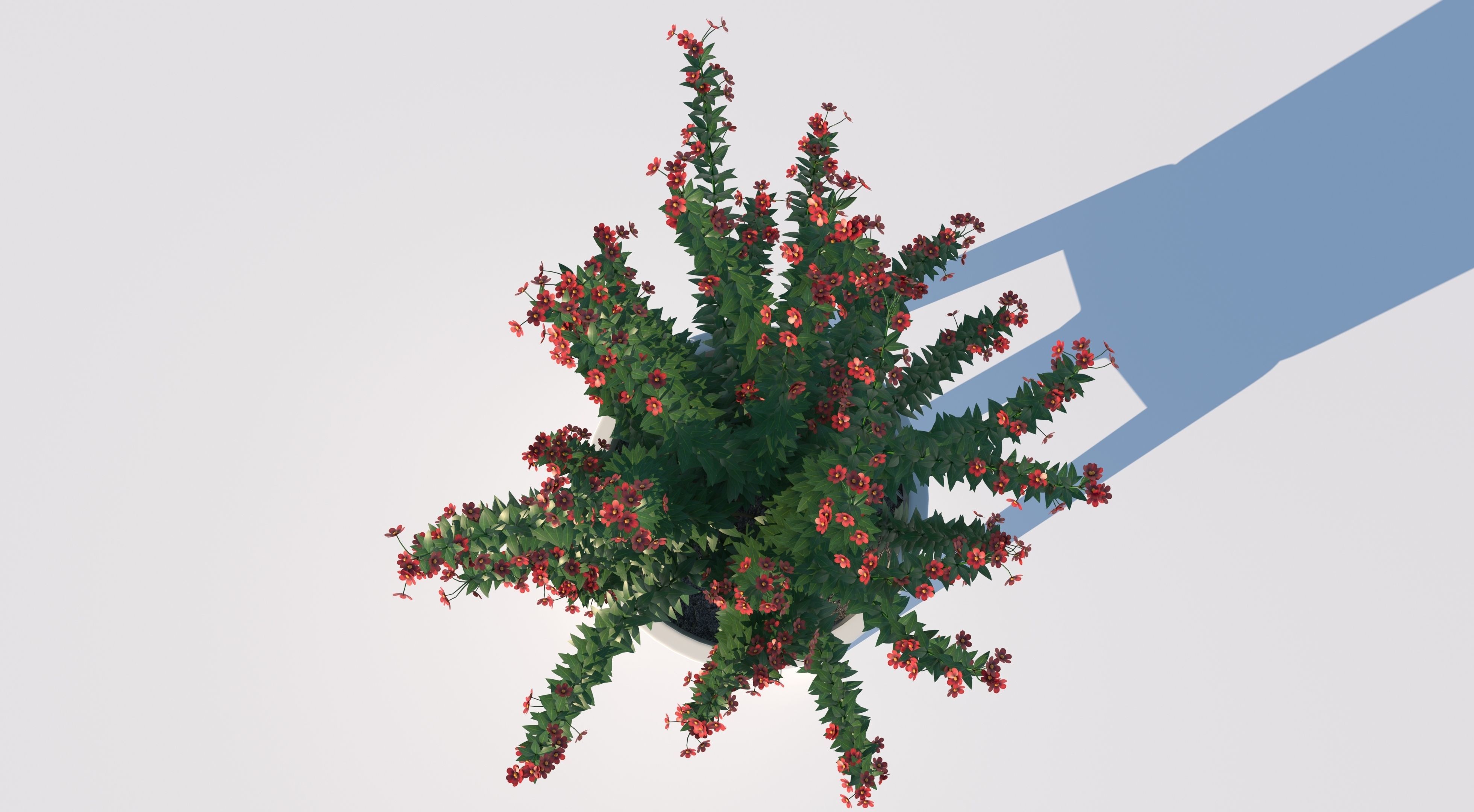 Pot Plant  3D model_3