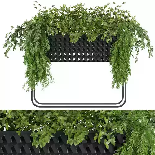 Collection plant vol 133 3D model