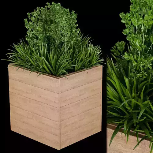 Collection plant vol 134 3D model
