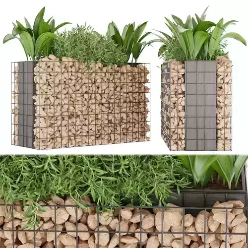 Collection plant vol 135 3D model