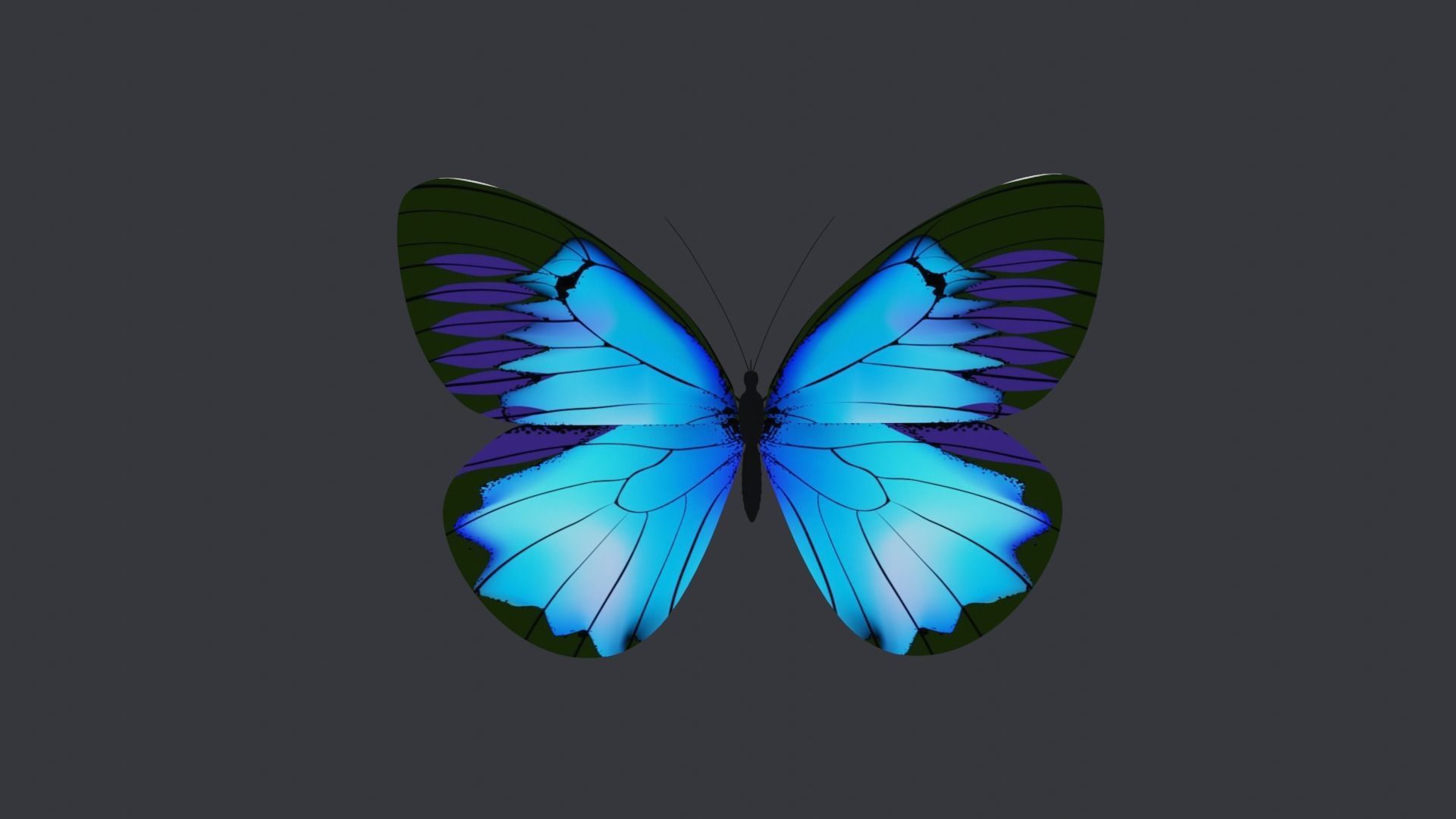 Blue Butterfly Free low-poly 3D model_2