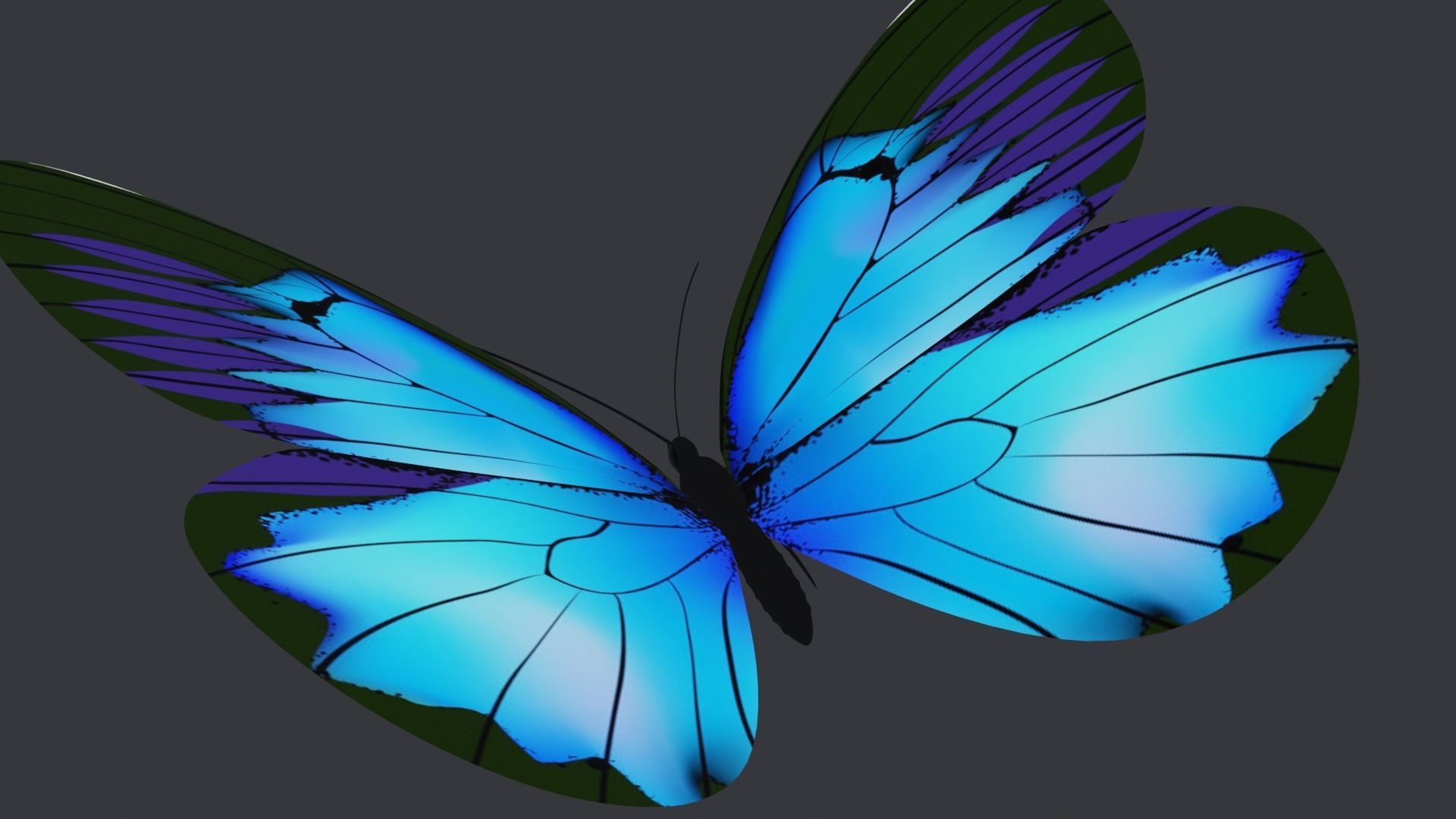 Blue Butterfly Free low-poly 3D model_7
