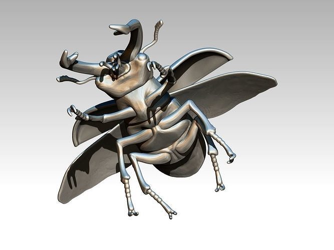 Highpoly Bug beetle 3D print model