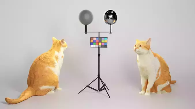 Red cat 07 Low-poly 3D model