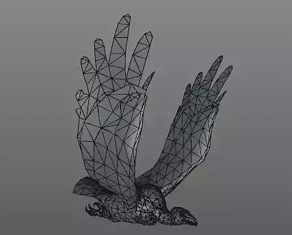 Eagle  6-Animation  3D model