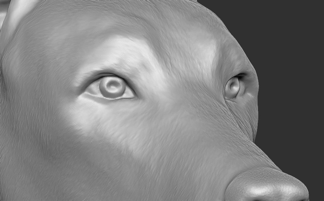 Dobermann head for 3D printing 3D print model_22