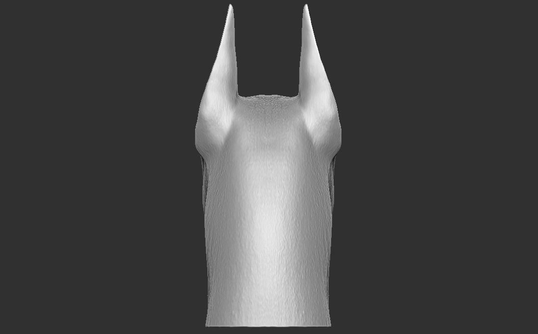 Dobermann head for 3D printing 3D print model_9