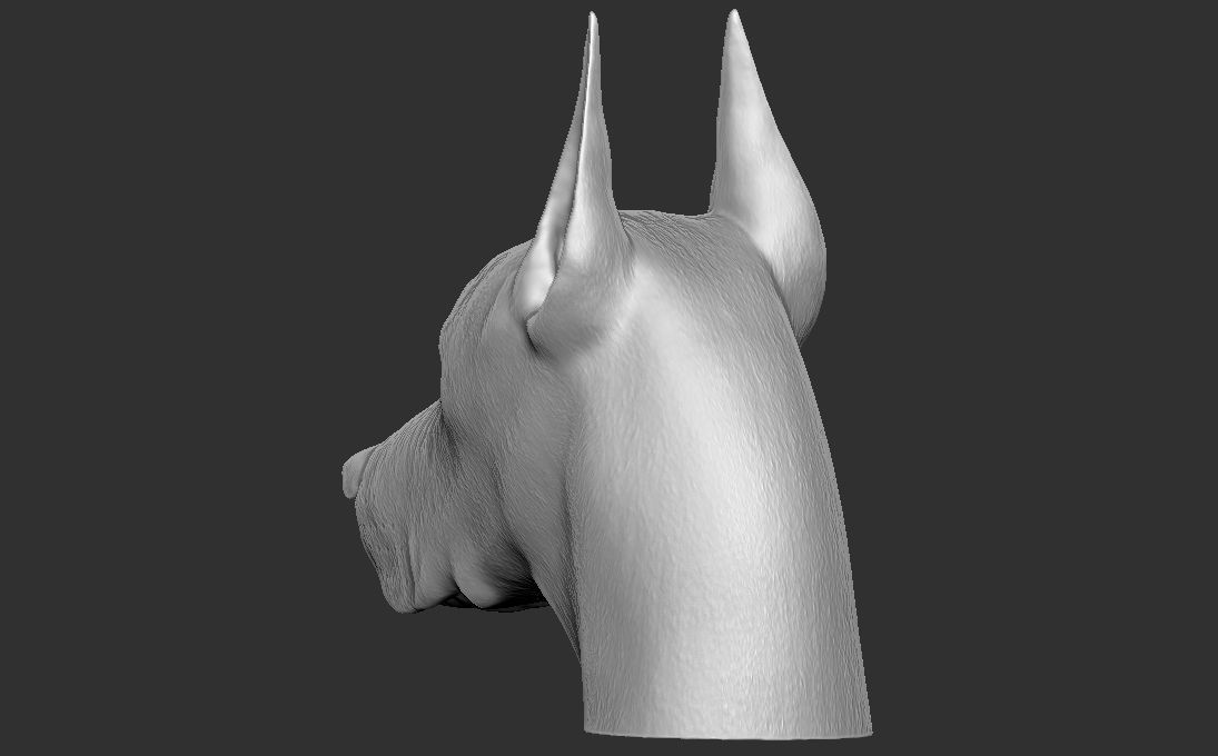 Dobermann head for 3D printing 3D print model_10