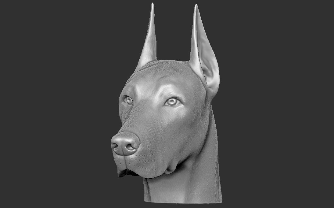 Dobermann head for 3D printing 3D print model_2