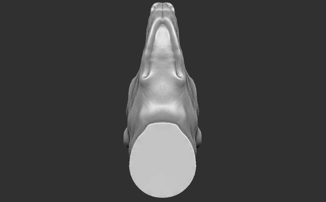 Dobermann head for 3D printing 3D print model_25