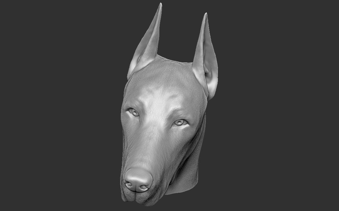 Dobermann head for 3D printing 3D print model_20