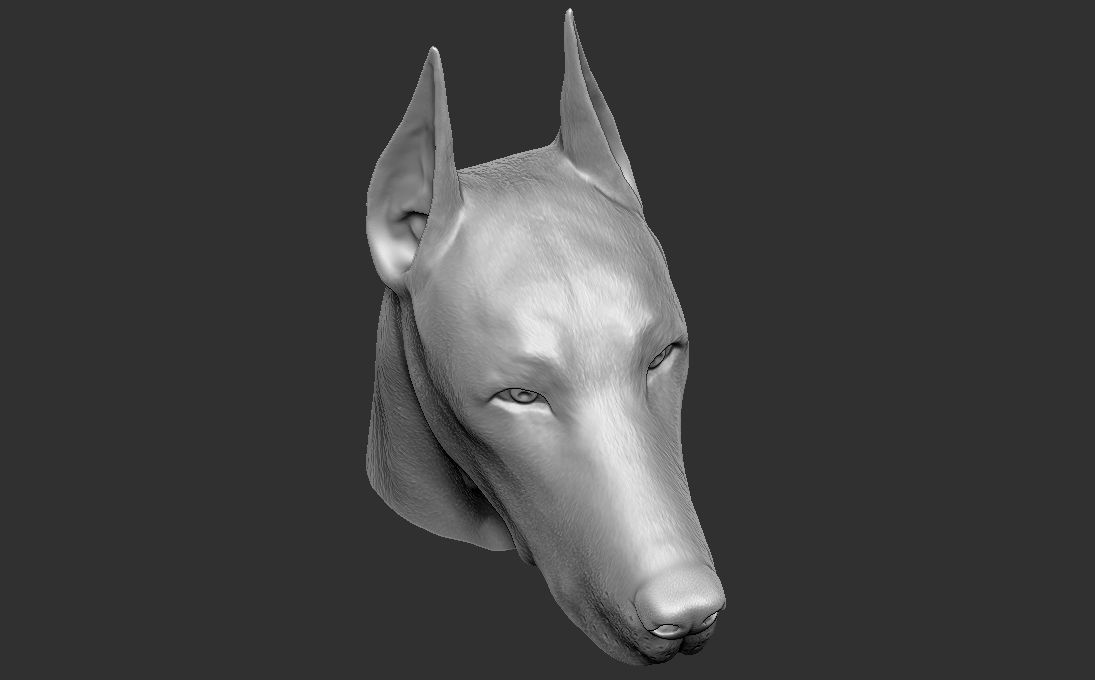 Dobermann head for 3D printing 3D print model_19