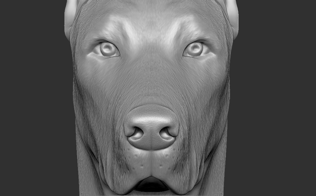 Dobermann head for 3D printing 3D print model_15