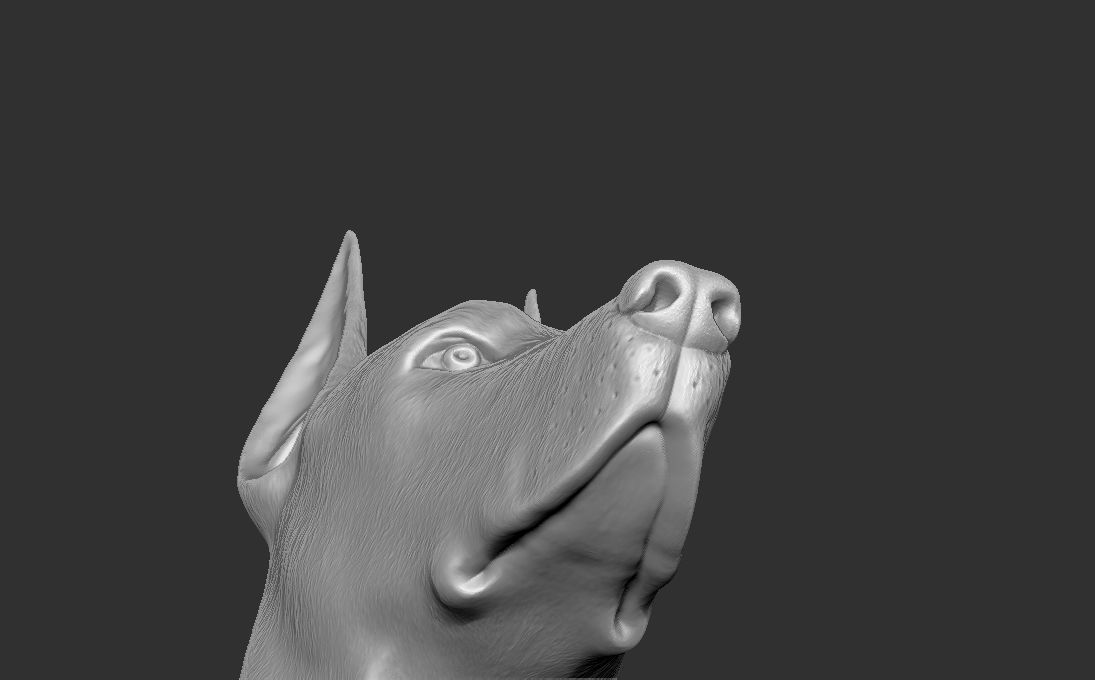 Dobermann head for 3D printing 3D print model_23
