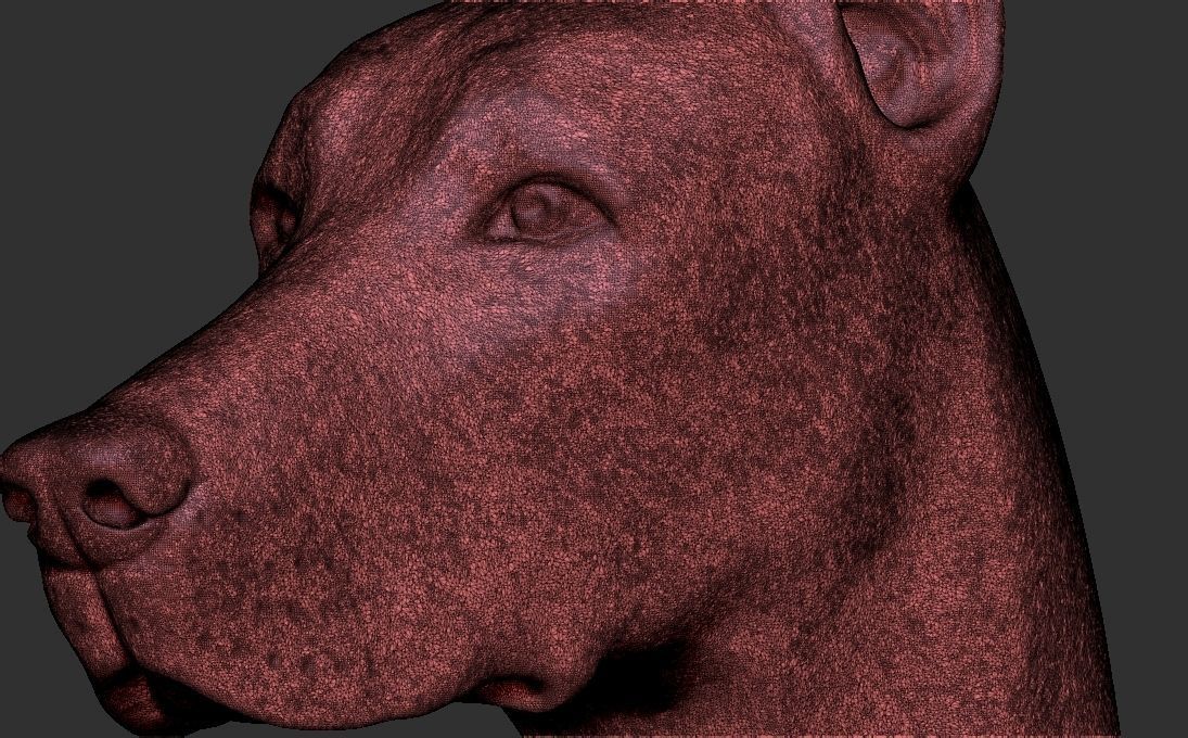 Dobermann head for 3D printing 3D print model_27