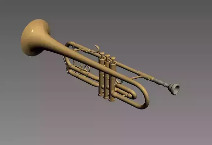 trompeta  trumpet
