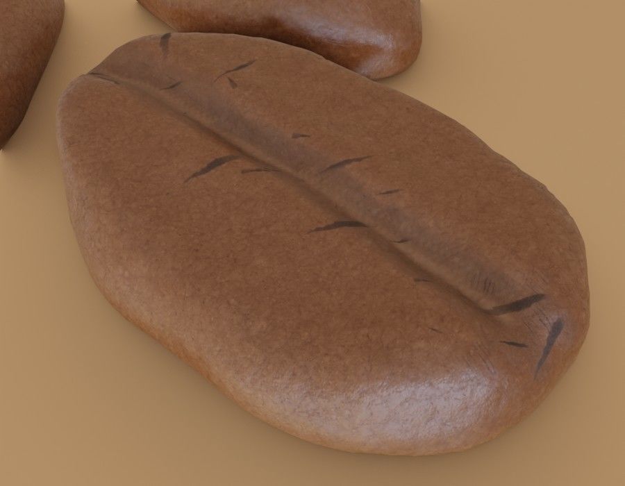 Coffee Bean PBR Free low-poly 3D model_1