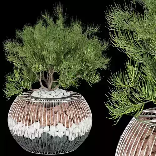 Collection plant vol 136 3D model