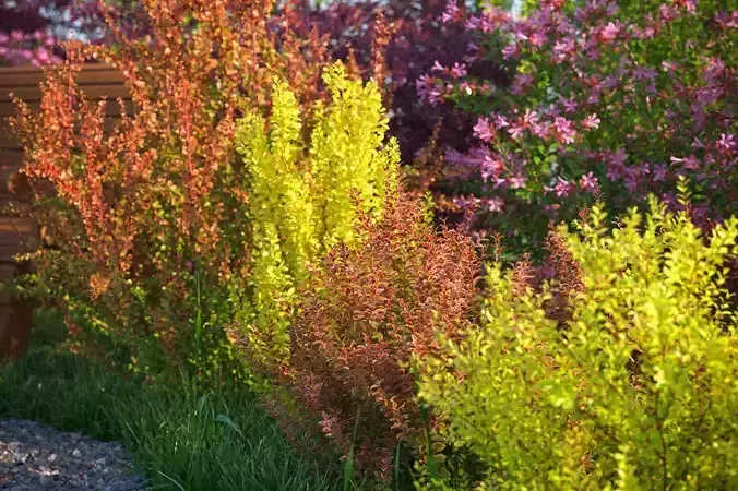 XfrogPlants HDTrees 7  3D model