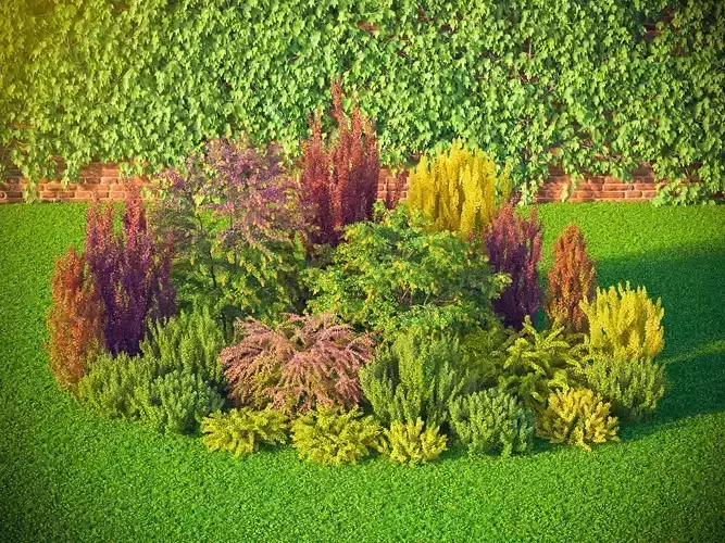 XfrogPlants HDTrees 8  3D model