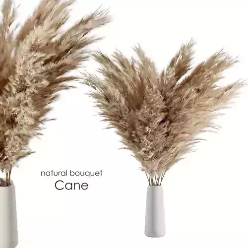 Natural cane bouquet
