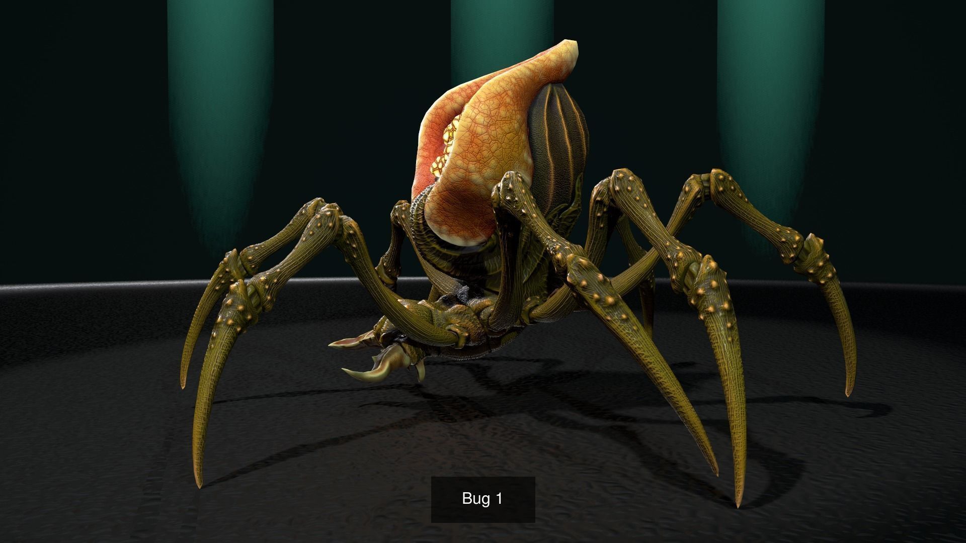Spider Pack 1 3D Model Collection_5
