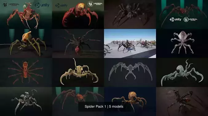 Spider Pack 1 3D Model Collection