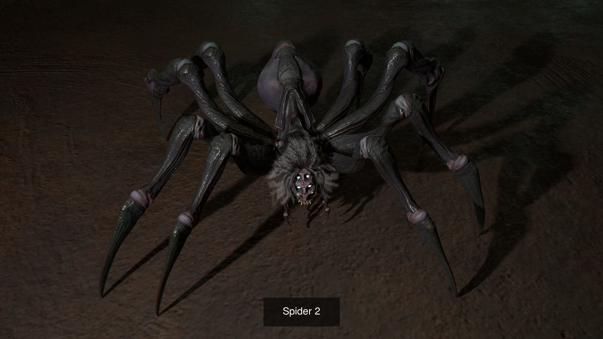 Spider Pack 1 3D Model Collection_3