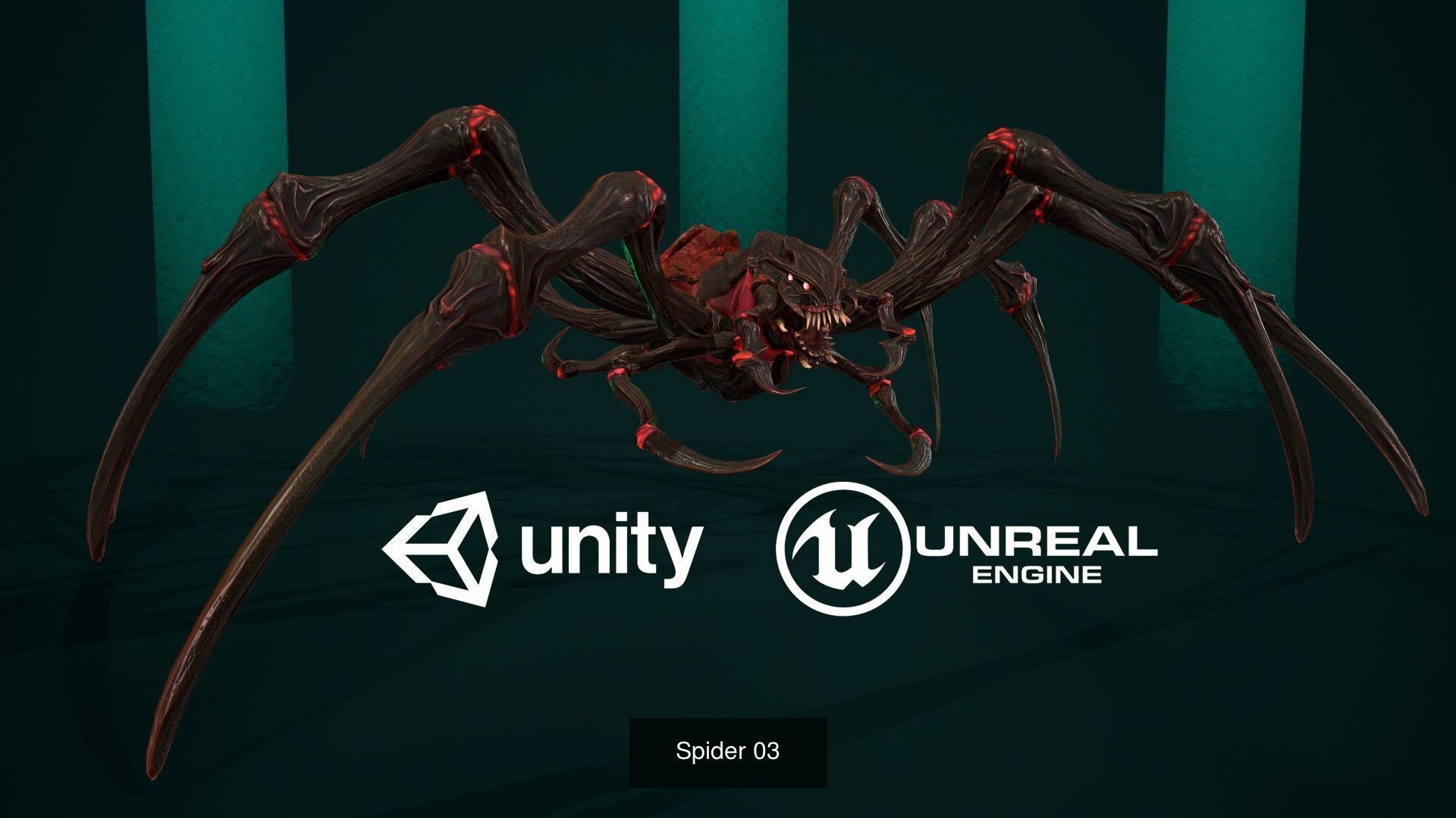 Spider Pack 1 3D Model Collection_4