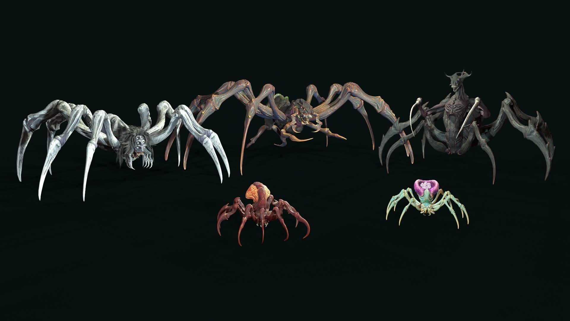 Spider Pack 1 3D Model Collection_11