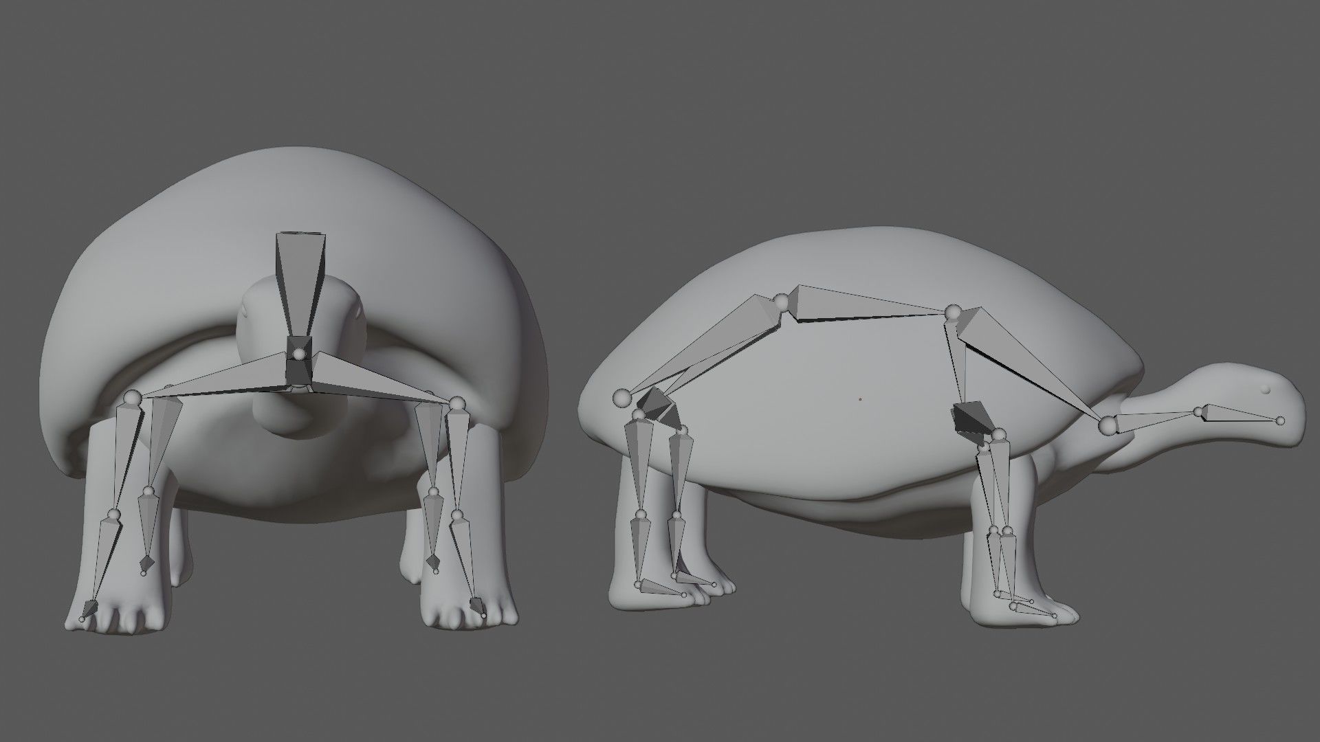 Tortoise Turtle Low-poly 3D model_6