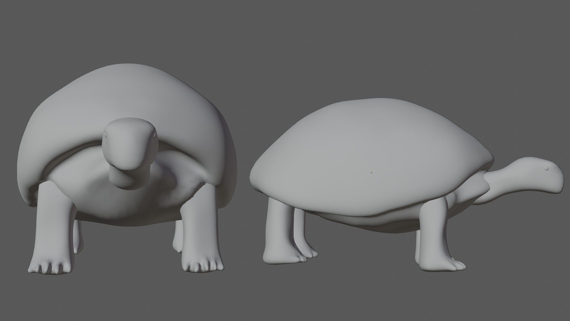 Tortoise Turtle Low-poly 3D model_5