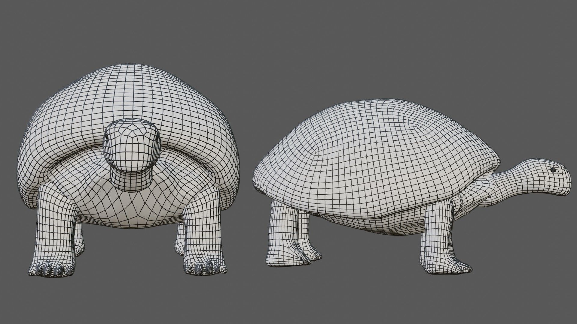 Tortoise Turtle Low-poly 3D model_7