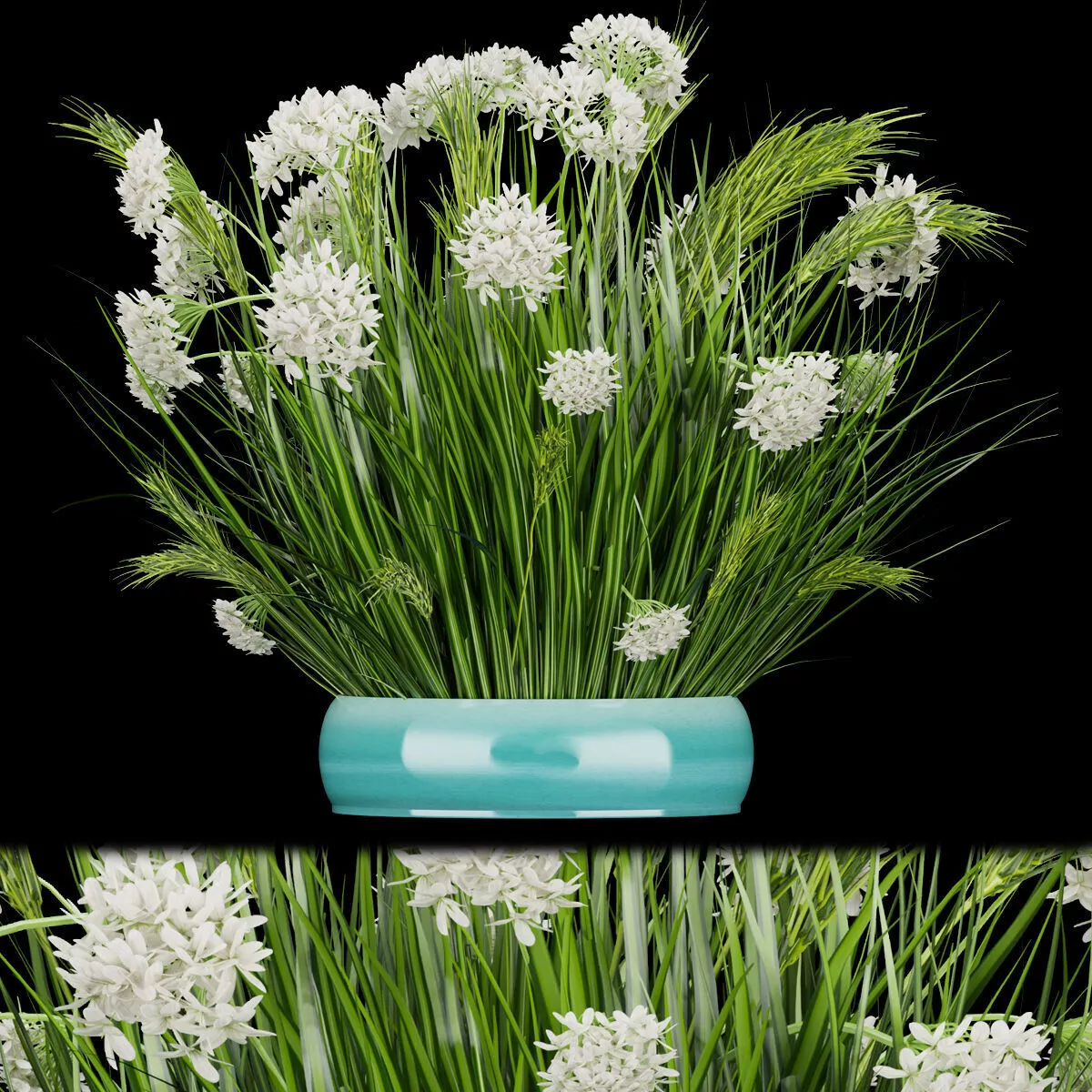 Collection plant vol 138 3D model
