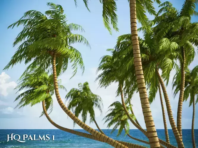 XfrogPlants HQPalms 1