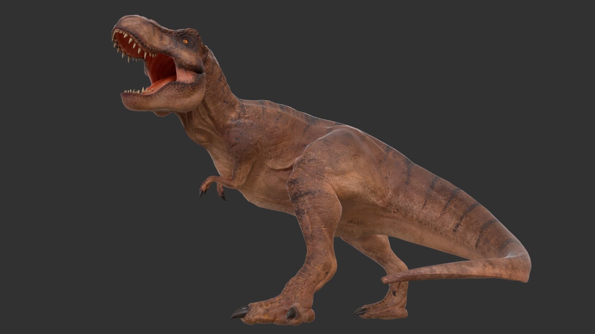 Jurassic Park Tyrannosaurus Rex Blender Low-poly Low-poly 3D model_7