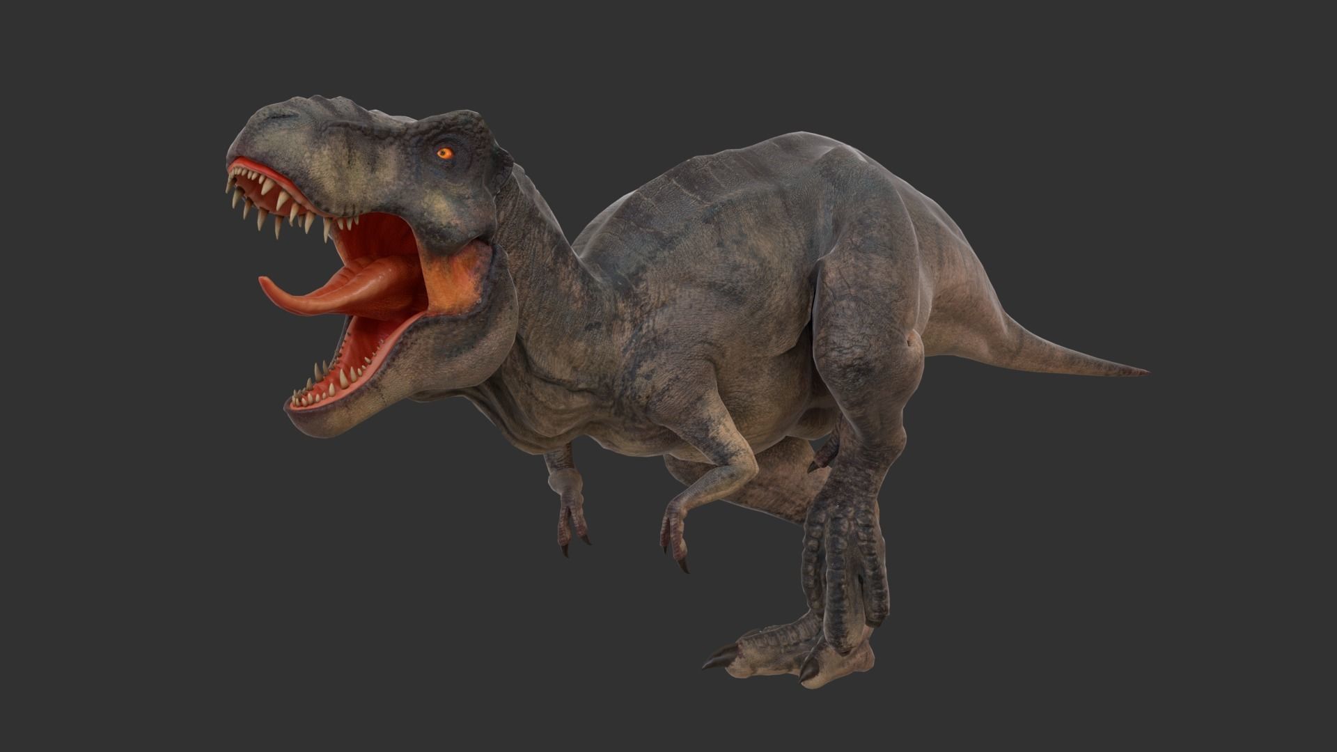 Jurassic Park Tyrannosaurus Rex Blender Low-poly Low-poly 3D model_5