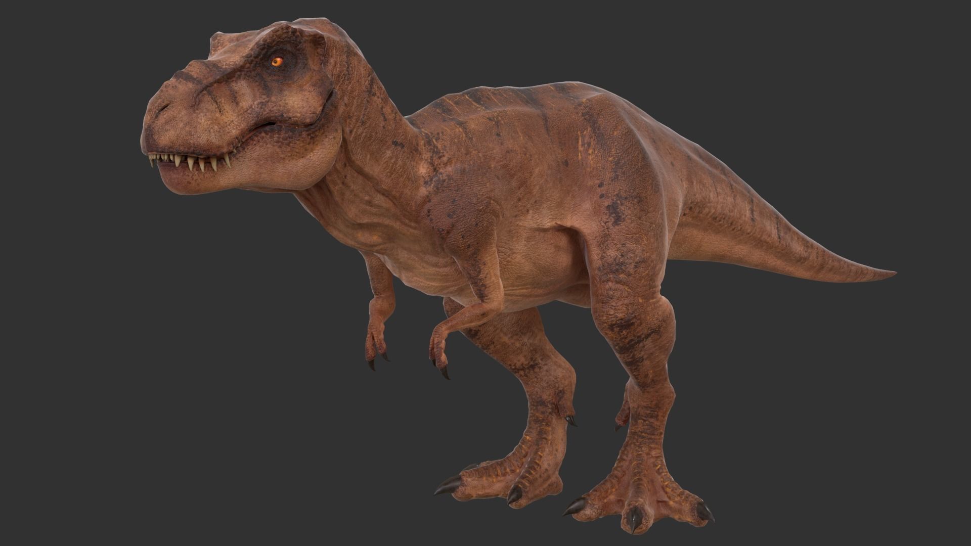 Jurassic Park Tyrannosaurus Rex Blender Low-poly Low-poly 3D model_2