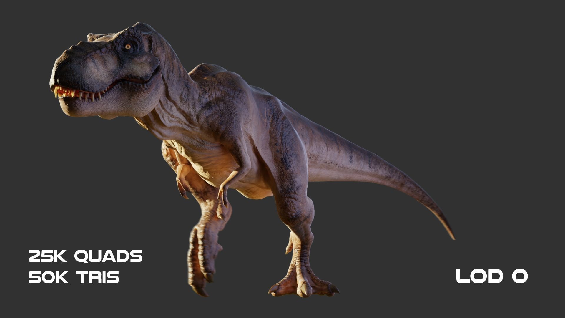 Jurassic Park Tyrannosaurus Rex Blender Low-poly Low-poly 3D model_12