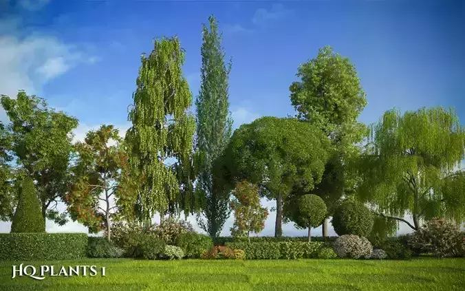 XfrogPlants HQPlants 1