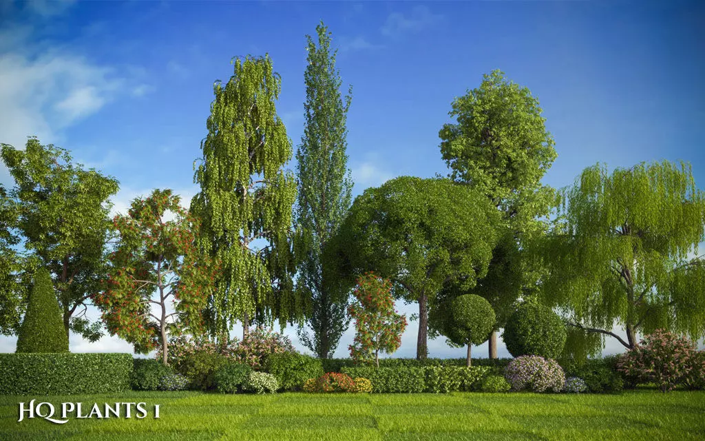 XfrogPlants HQPlants 1 3D model_0