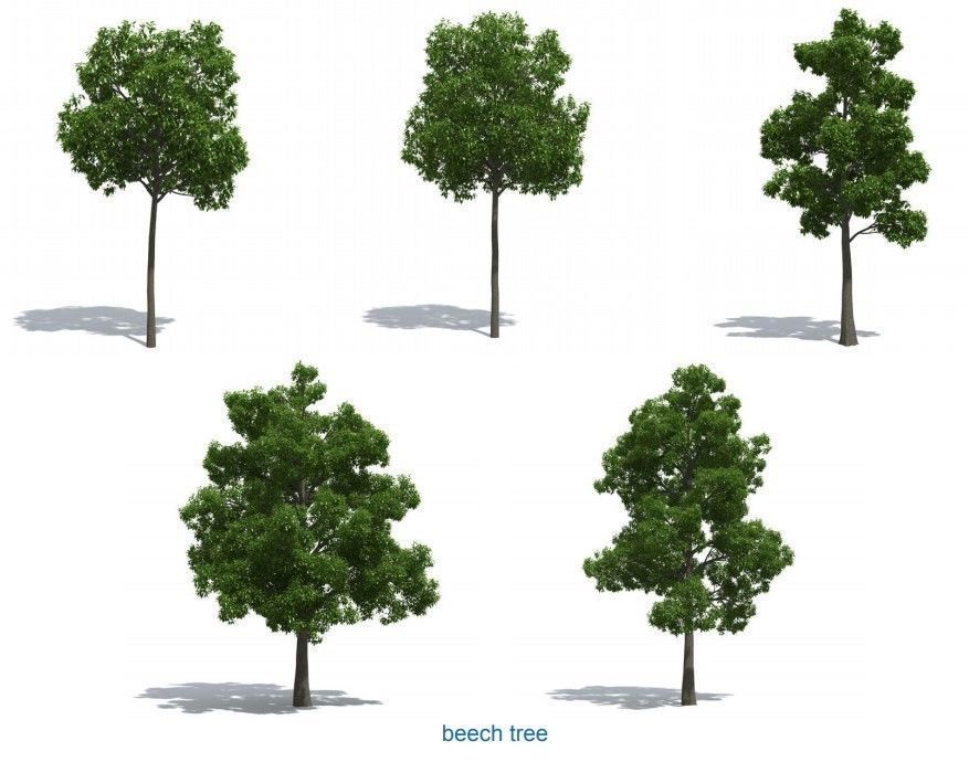 XfrogPlants HQPlants 1 3D model_2