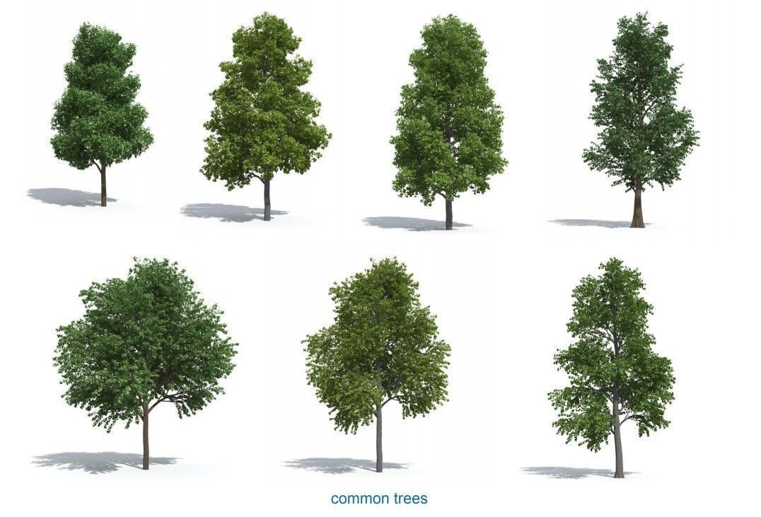 XfrogPlants HQPlants 1 3D model_1