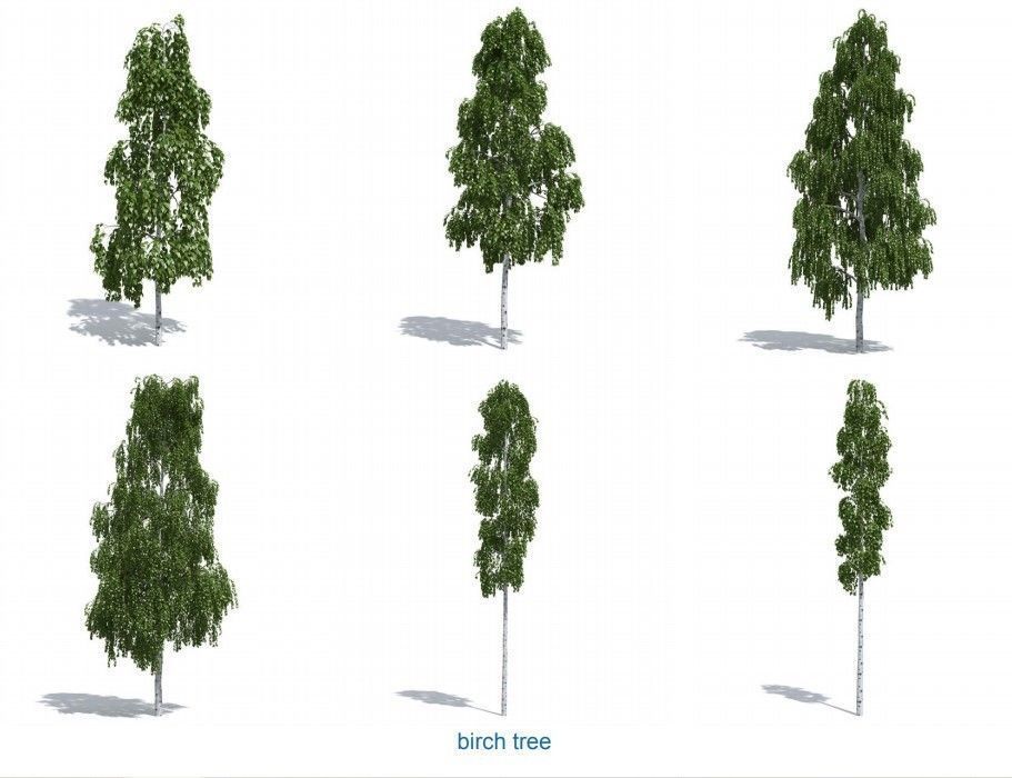 XfrogPlants HQPlants 1 3D model_3