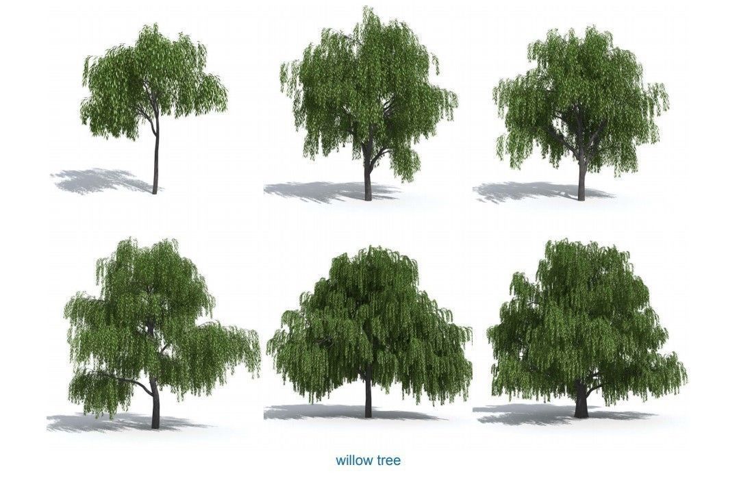 XfrogPlants HQPlants 1 3D model_5