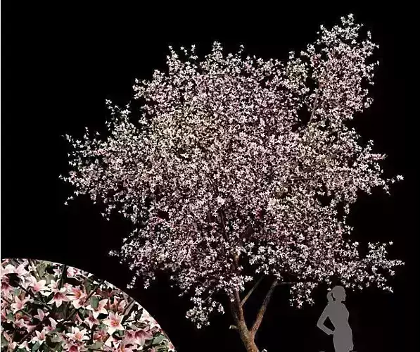 Blooming lemon tree 3D model
